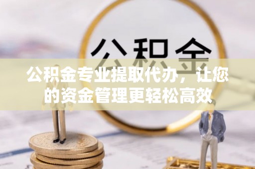 双河公积金专业提取代办，让您的资金管理更轻松高效