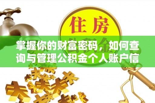 双河掌握你的财富密码，如何查询与管理公积金个人账户信息