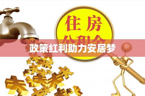 双河政策红利助力安居梦