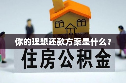 双河你的理想还款方案是什么？