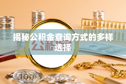 双河揭秘公积金查询方式的多样选择