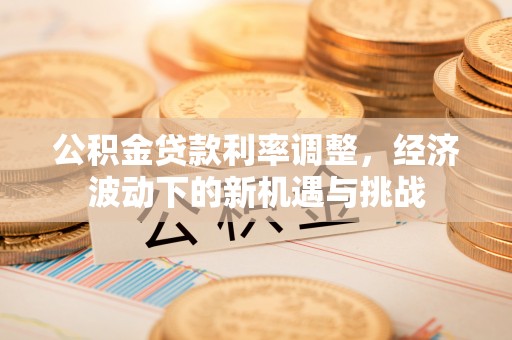 双河公积金贷款利率调整，经济波动下的新机遇与挑战