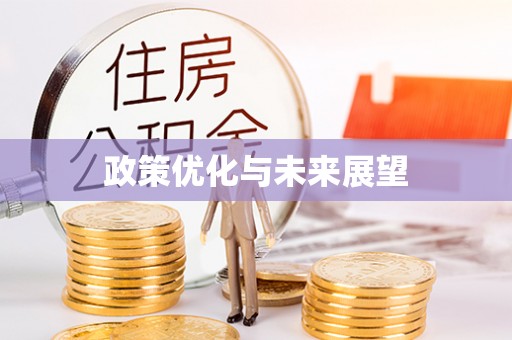双河政策优化与未来展望