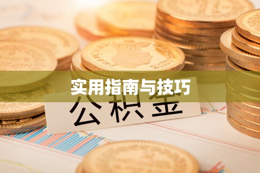 双河实用指南与技巧