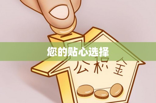 双河您的贴心选择