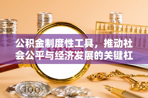 双河公积金制度性工具，推动社会公平与经济发展的关键杠杆