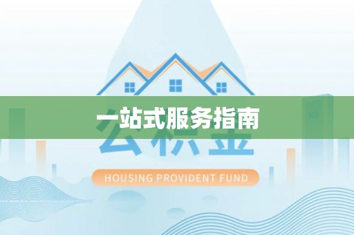 双河一站式服务指南