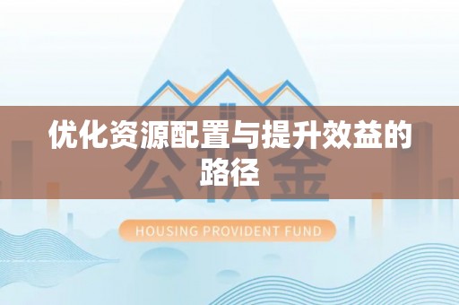 双河优化资源配置与提升效益的路径