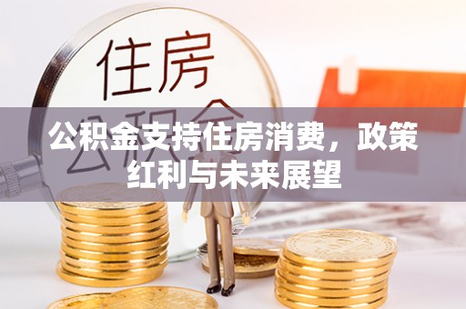 双河公积金支持住房消费，政策红利与未来展望