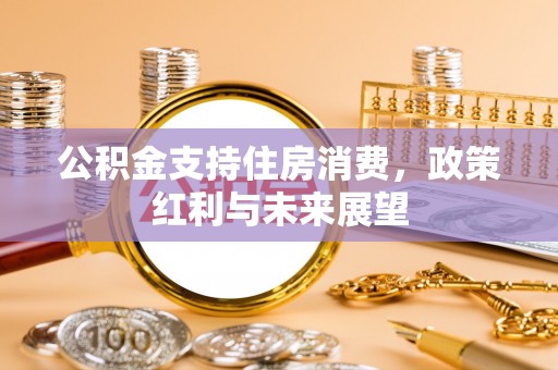 双河公积金支持住房消费，政策红利与未来展望
