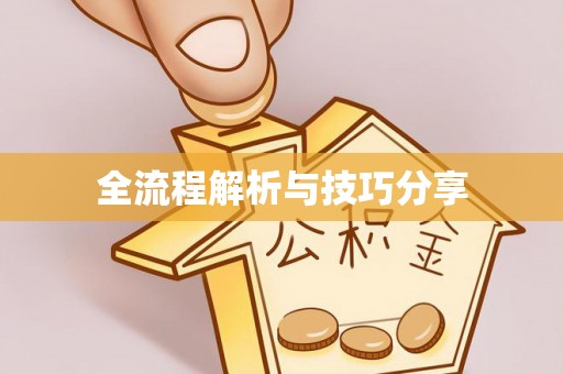 双河全流程解析与技巧分享