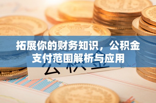 双河拓展你的财务知识，公积金支付范围解析与应用