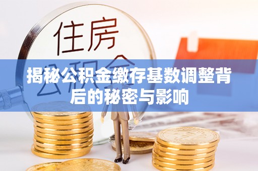 双河揭秘公积金缴存基数调整背后的秘密与影响