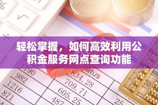 双河轻松掌握，如何高效利用公积金服务网点查询功能