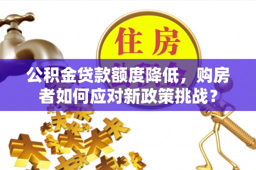 双河公积金贷款额度降低，购房者如何应对新政策挑战？