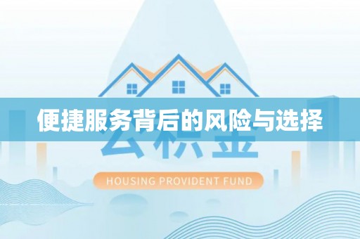 双河便捷服务背后的风险与选择