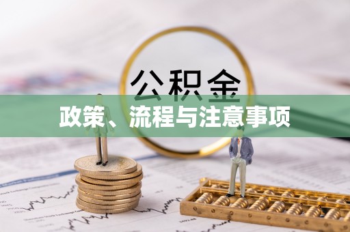 双河政策、流程与注意事项