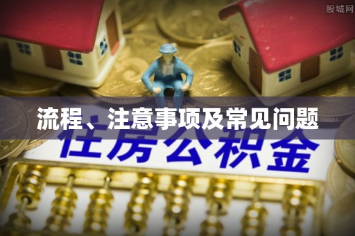 双河流程、注意事项及常见问题