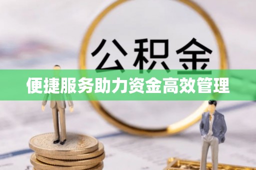 双河便捷服务助力资金高效管理