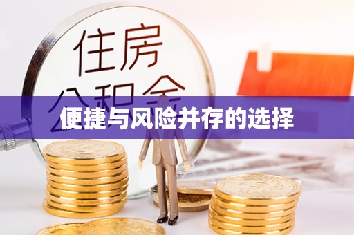 双河便捷与风险并存的选择