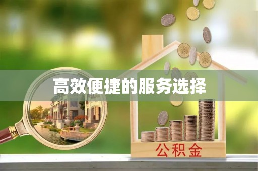 双河高效便捷的服务选择