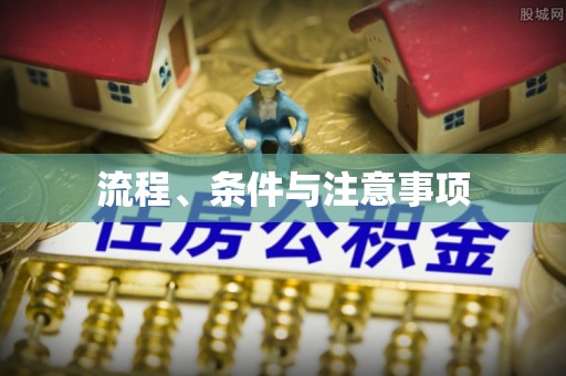 双河流程、条件与注意事项